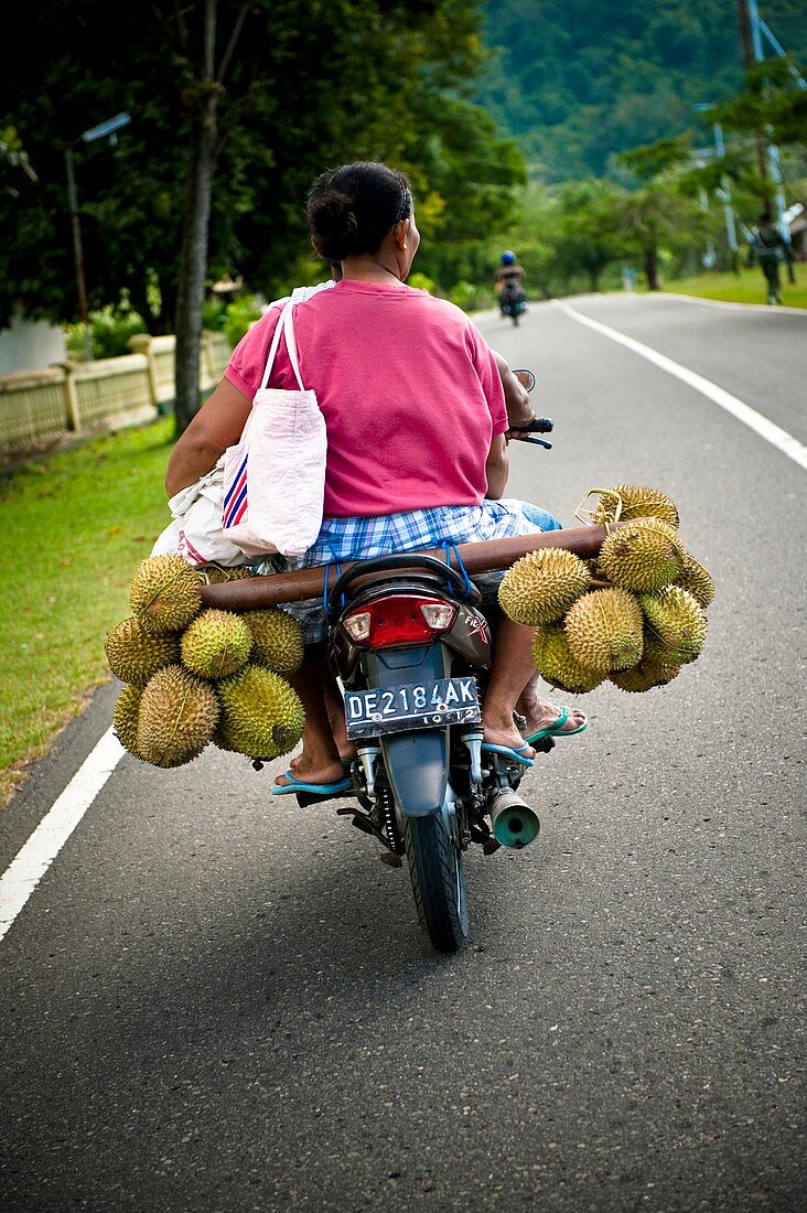 Fruit seller,Indonesia