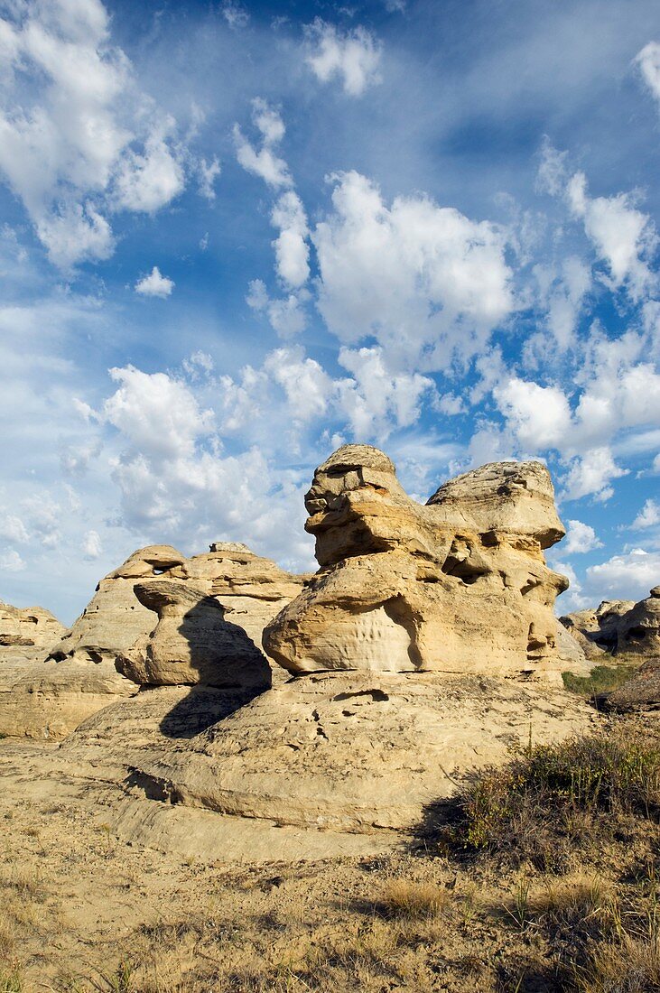 Sandstone hoodoos