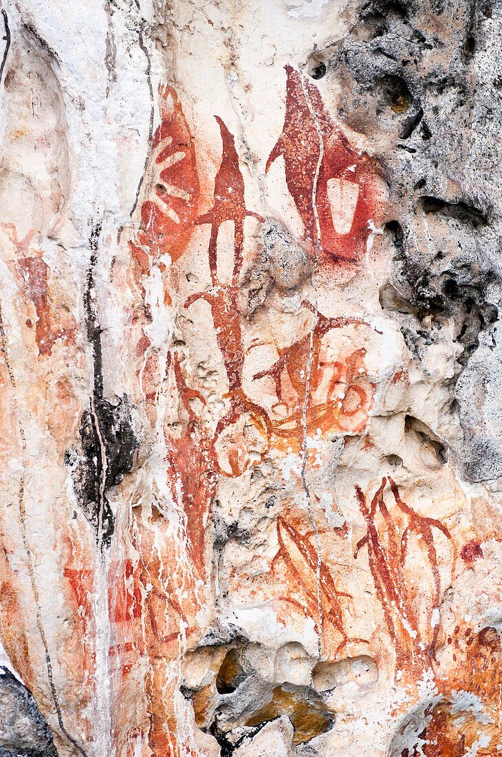 Prehistoric rock art,Indonesia