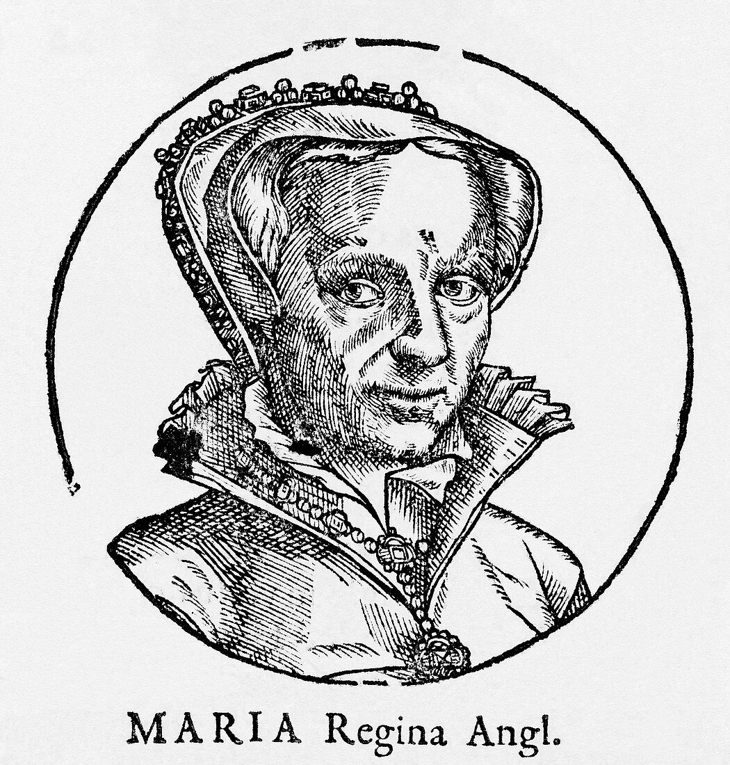 Mary I,Queen of England and Ireland