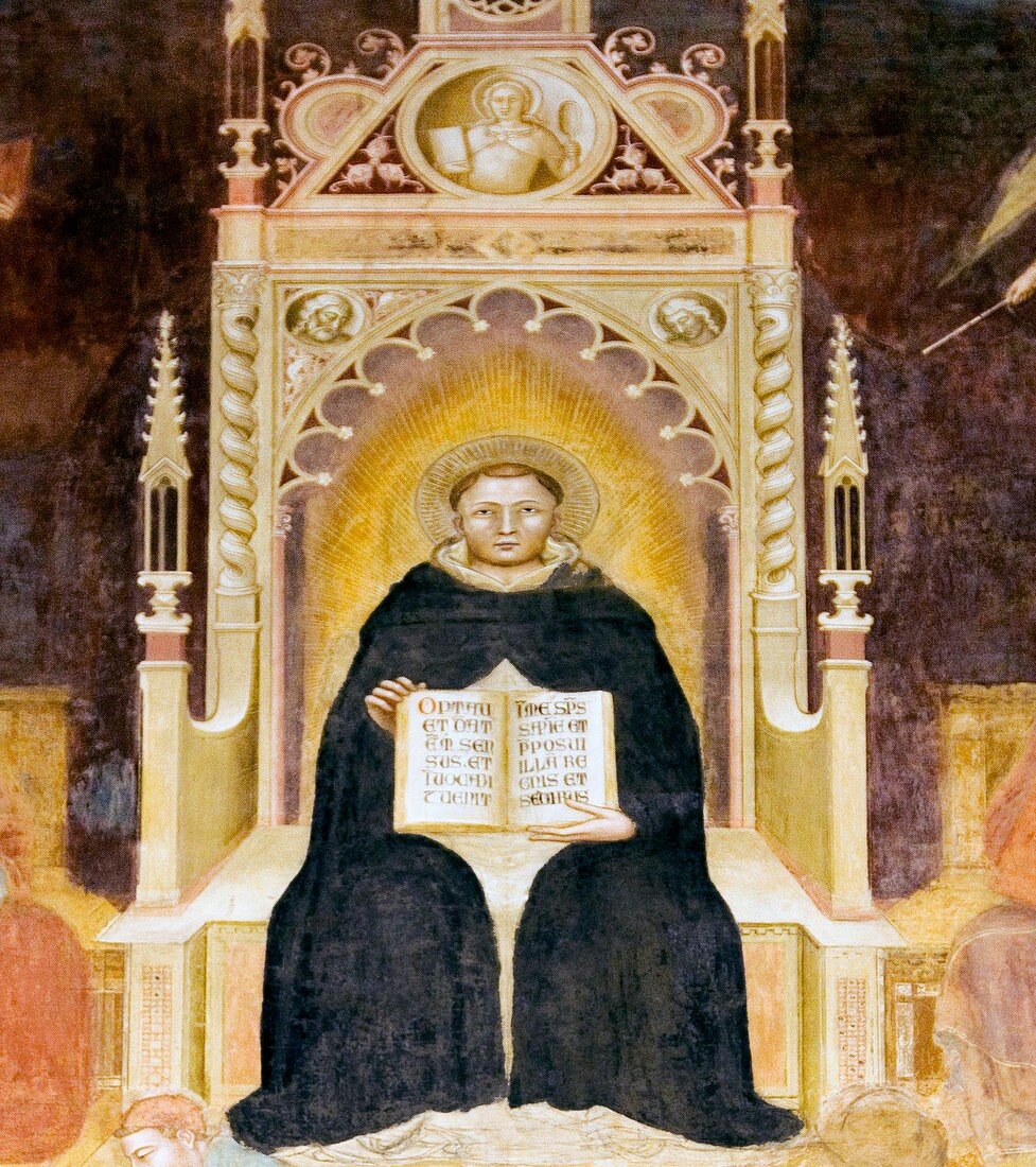 Thomas Aquinas,Italian priest