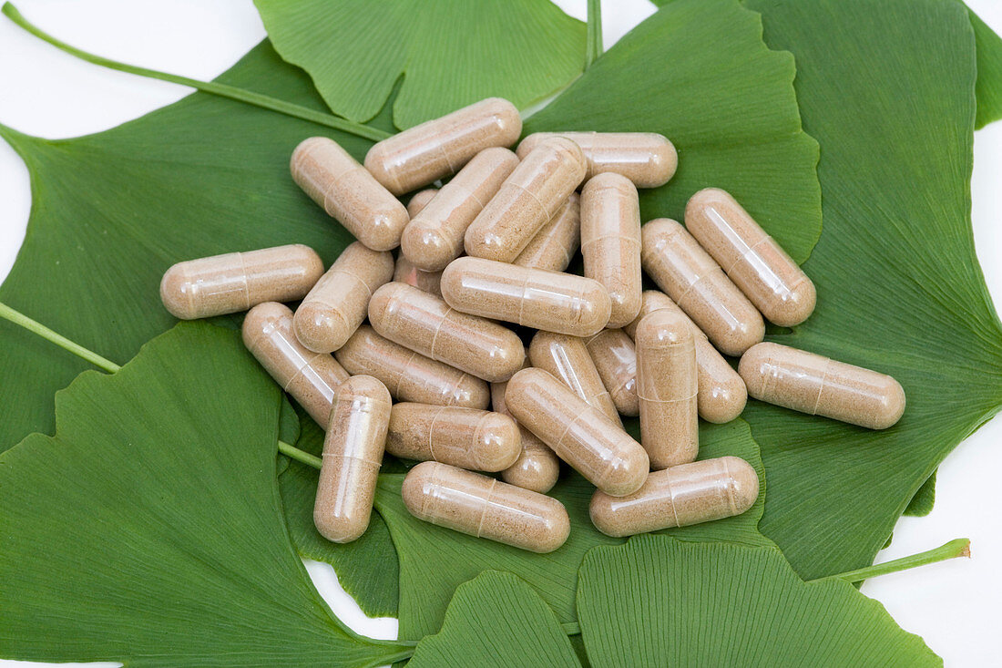 Ginkgo capsules on Ginkgo biloba leaves
