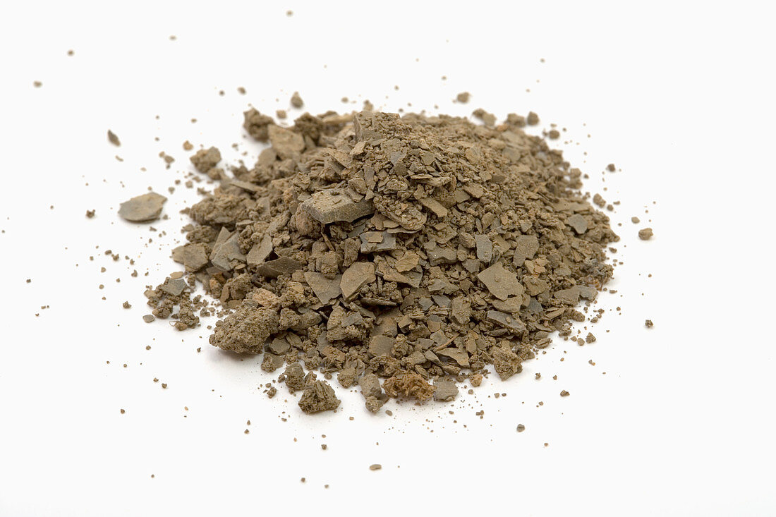 Clay Soil