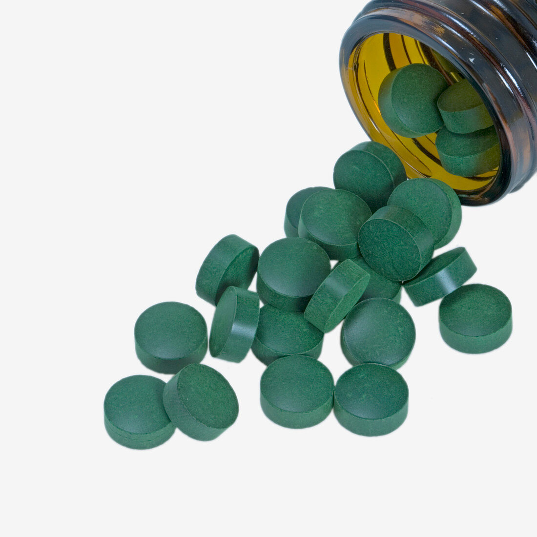 Spirulina Cyanobacteria food supplement
