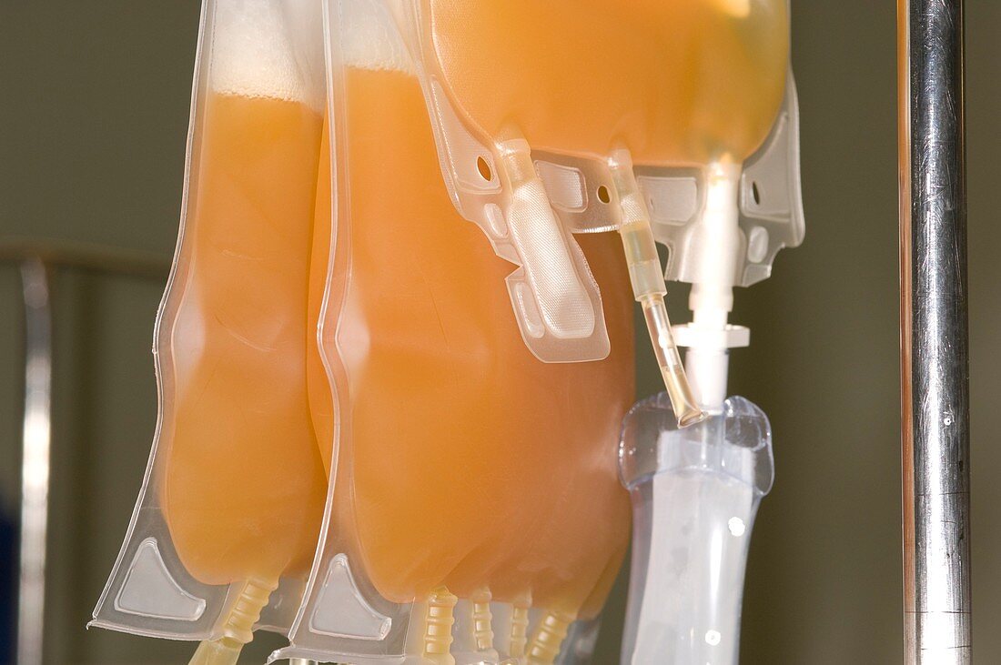 Blood platelets for transfusion