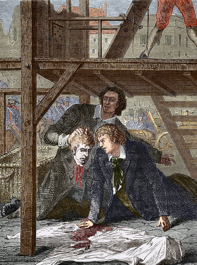 Studying a guillotined head,Mainz 1803