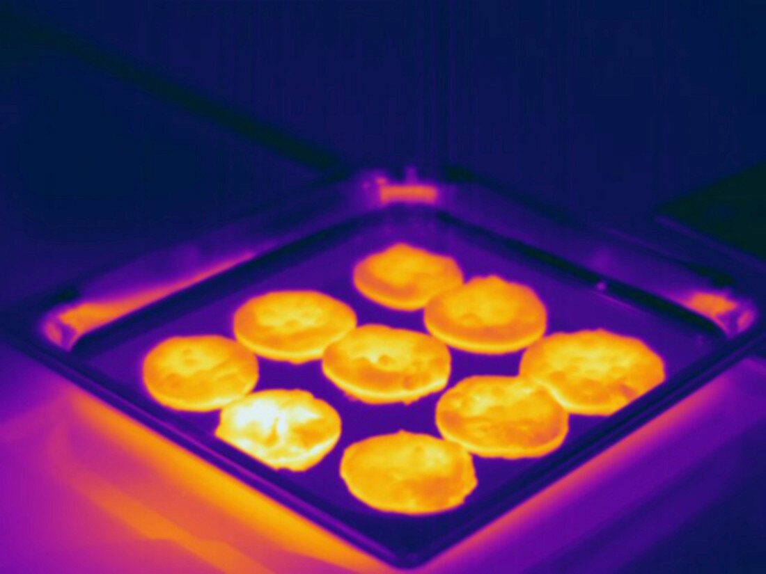 Thermogram - Hot cookies just out of the