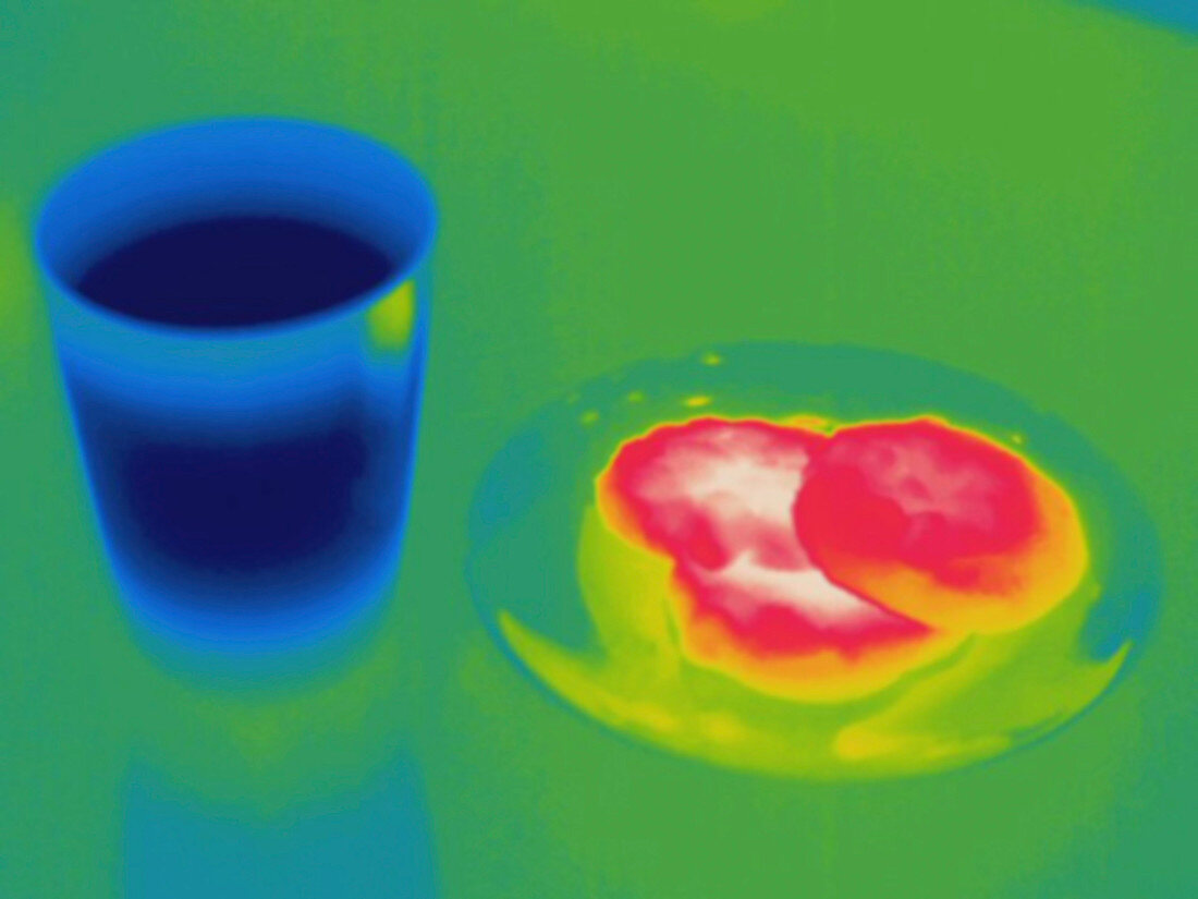 Thermogram of warm cookies and cold milk