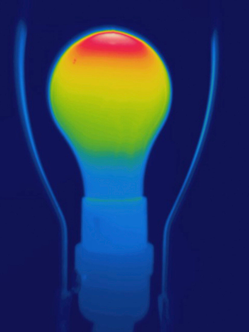 Thermogram incandescent light bulb