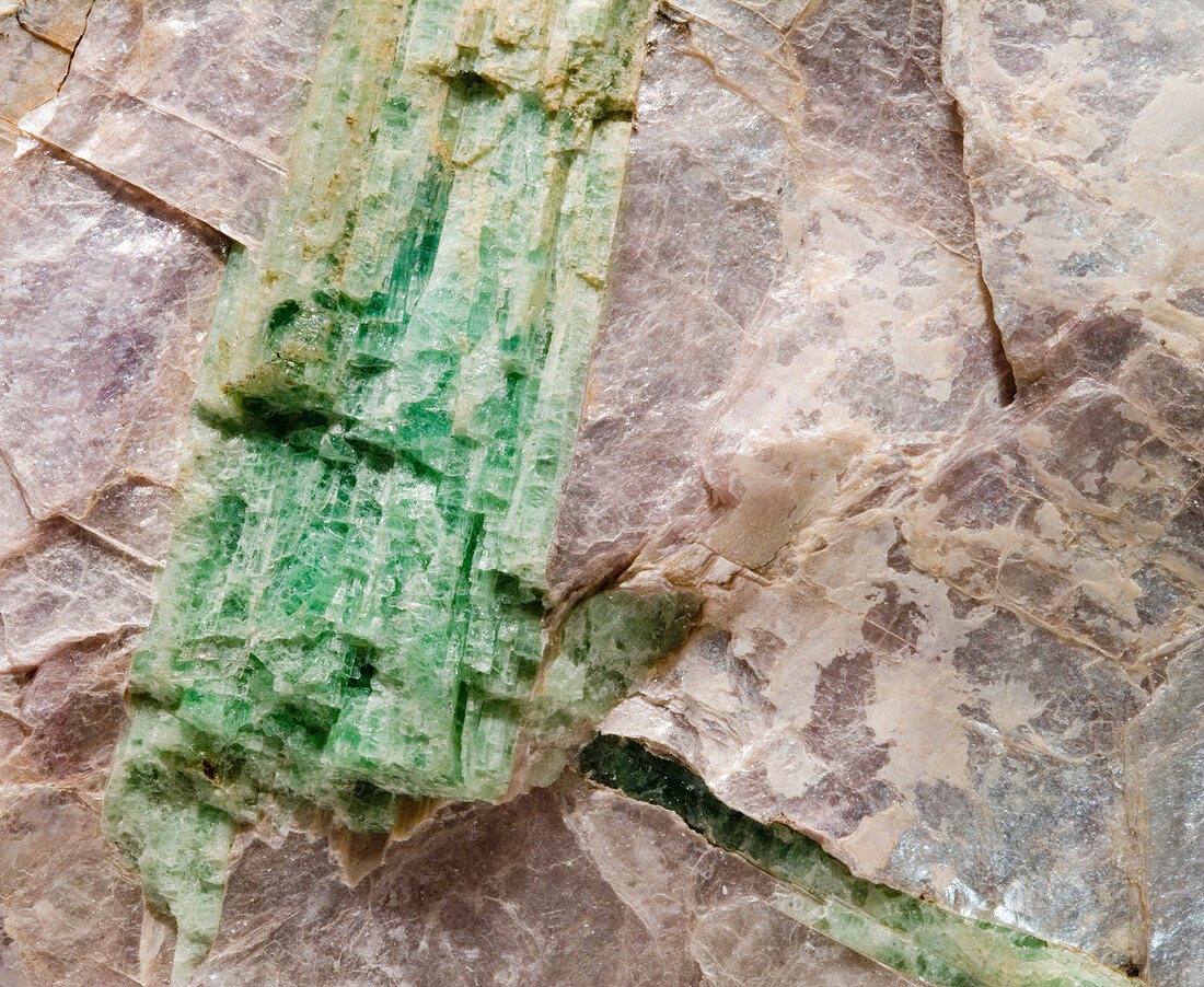 Green Tourmaline in Muscovite,Maine