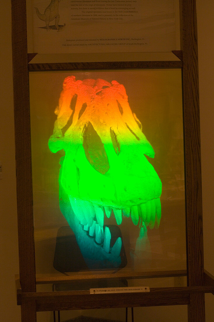 T-Rex Hologram