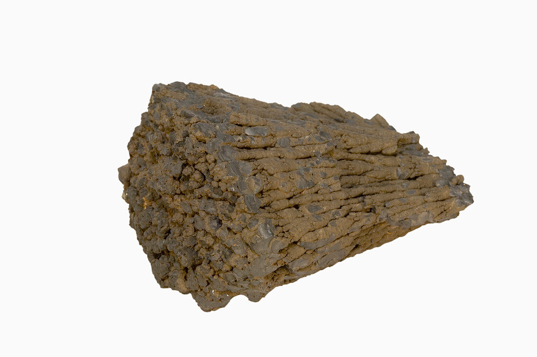 Psilomelane,an ore of Manganese