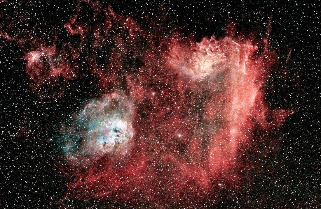 Flaming star and tadpole nebulae