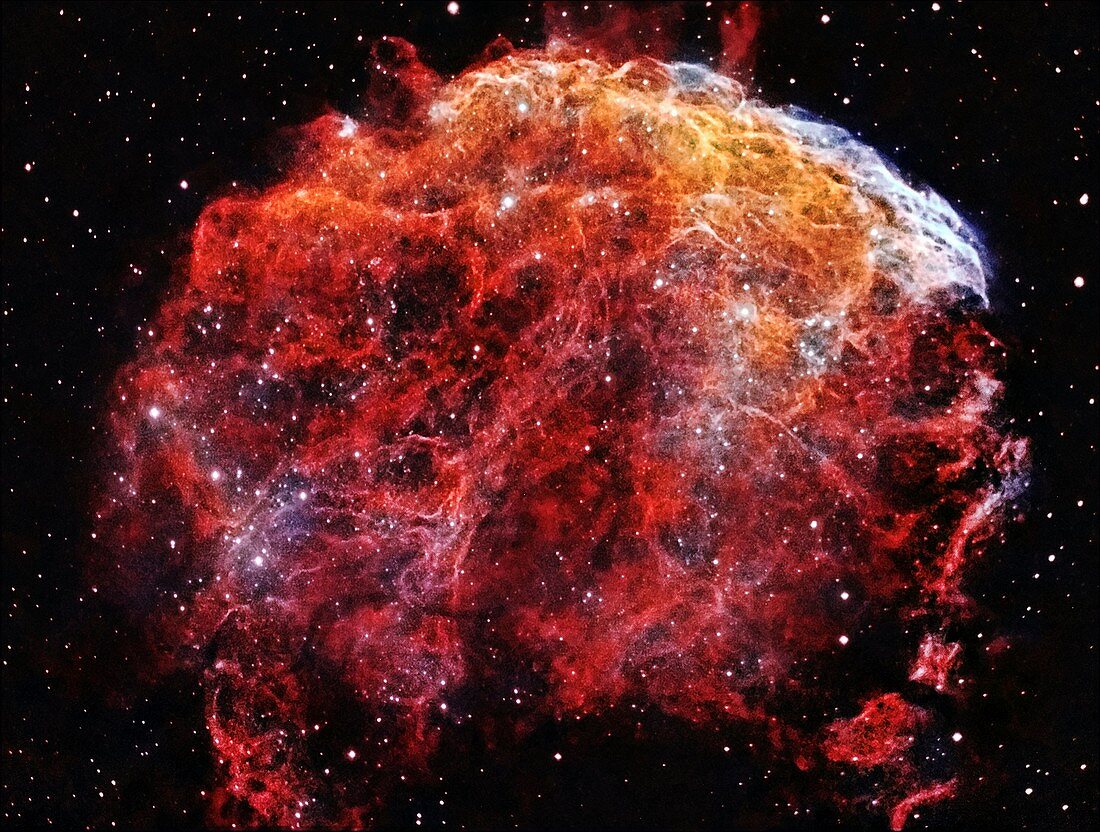 Jellyfish nebula