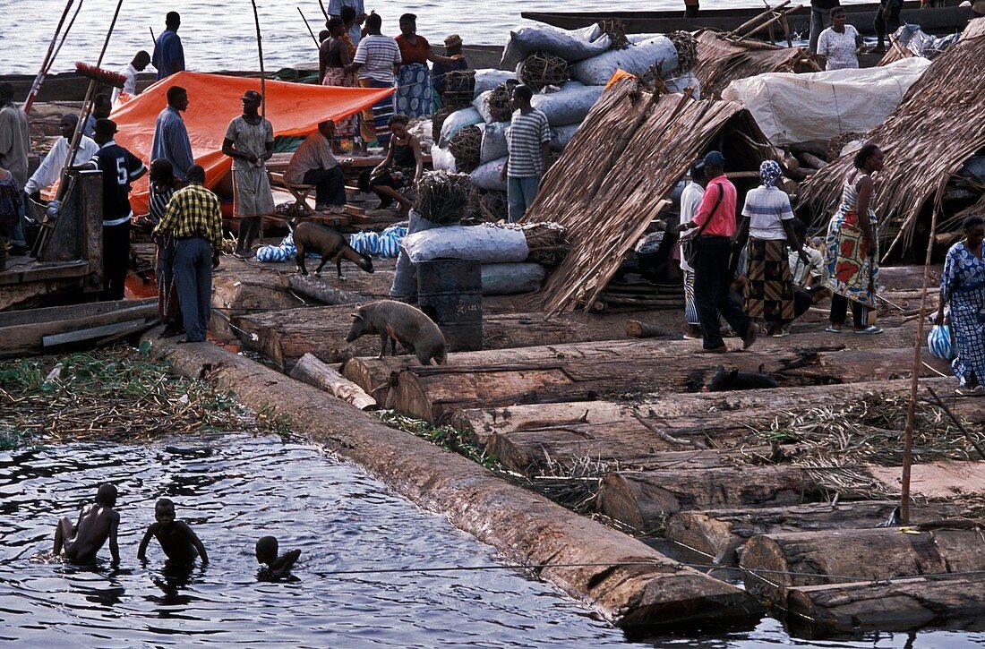 Congo logging raft