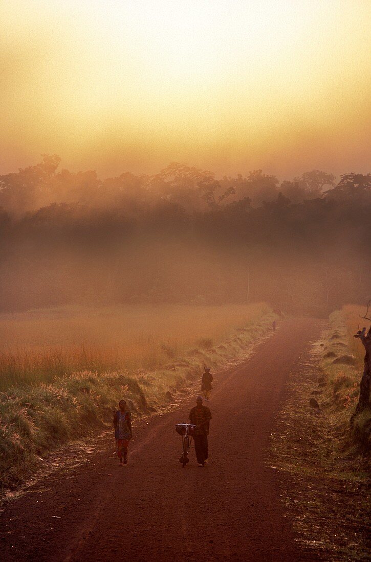 Early morning travel,Congo Basin