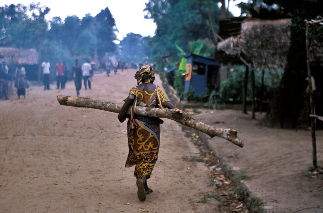 Congo woodcutting
