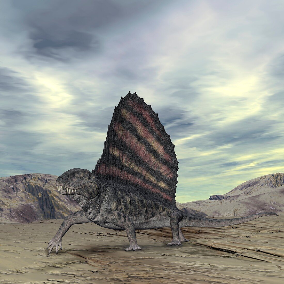Dimetrodon,artwork