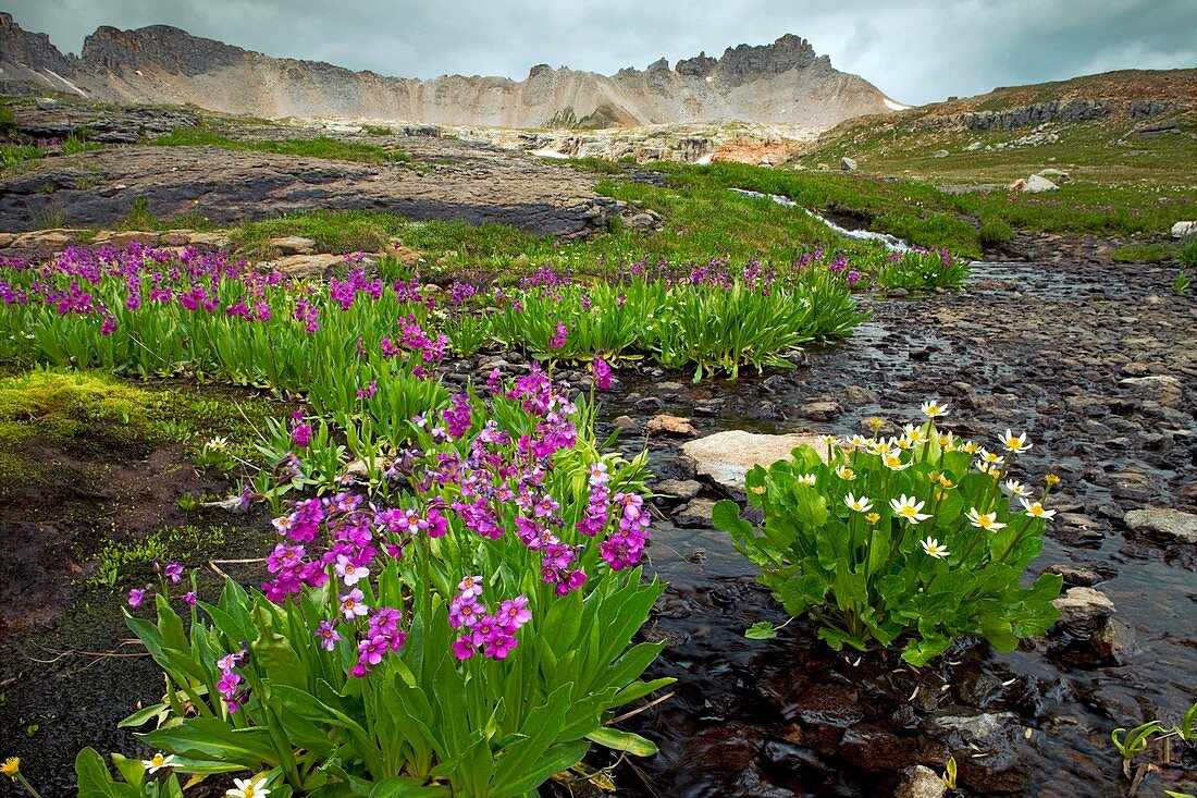 Bullion Lake-Porphyyr,USA