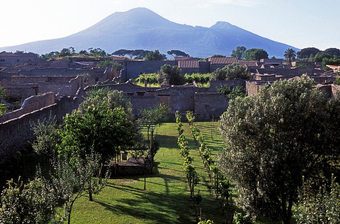 Pompeii garden and Vesuvius