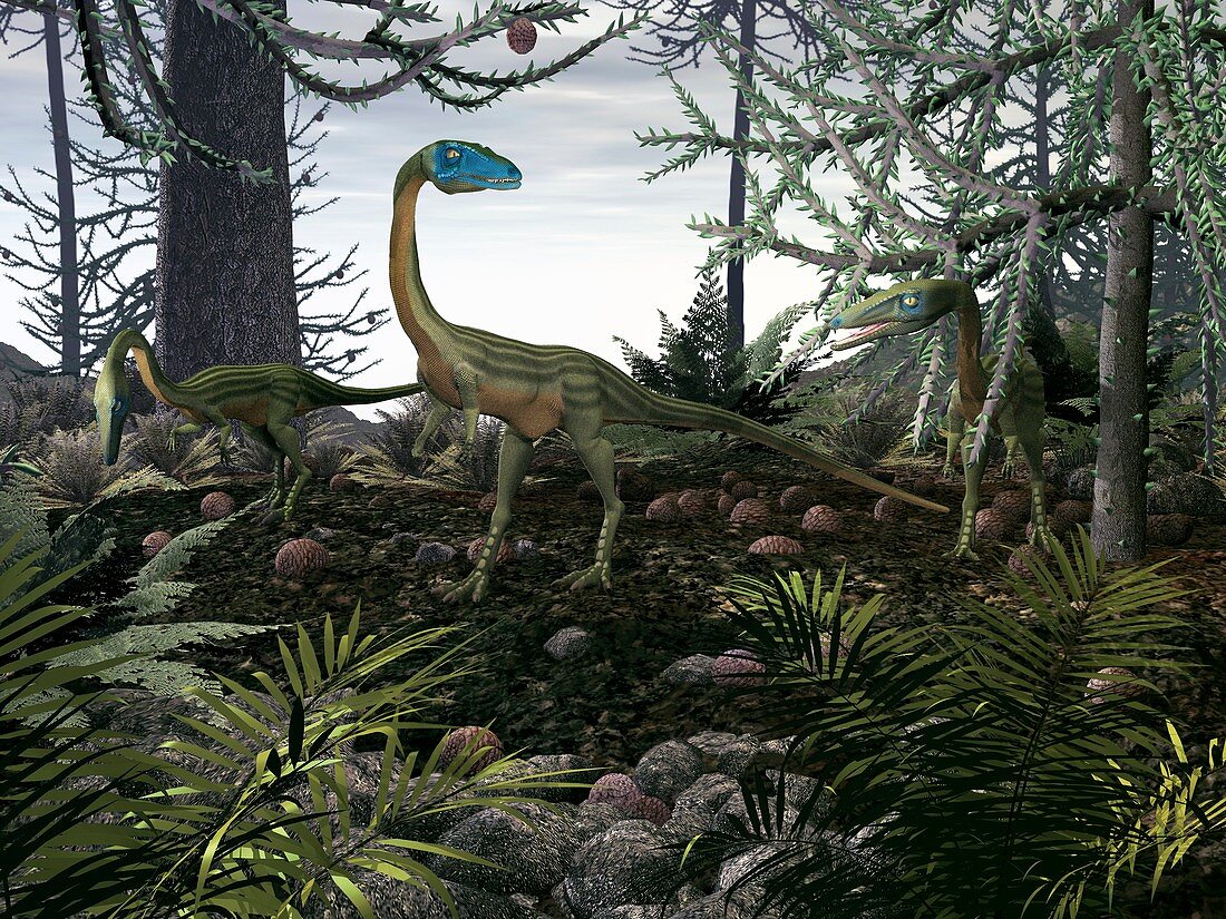 Coelophysis dinosaurs,artwork