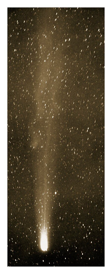 Halley's Comet in May 1910