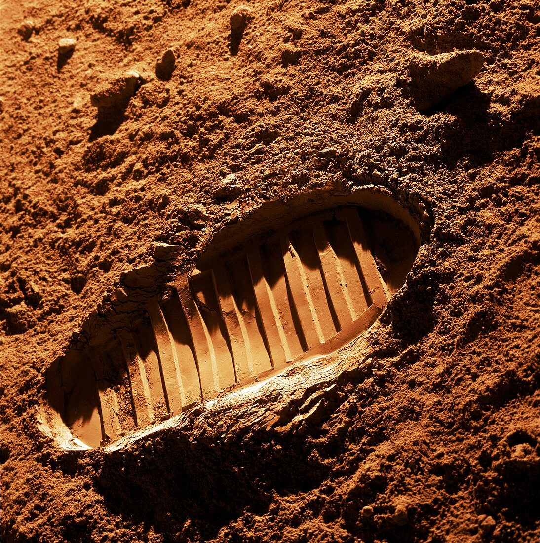 Bootprint on Mars,artwork