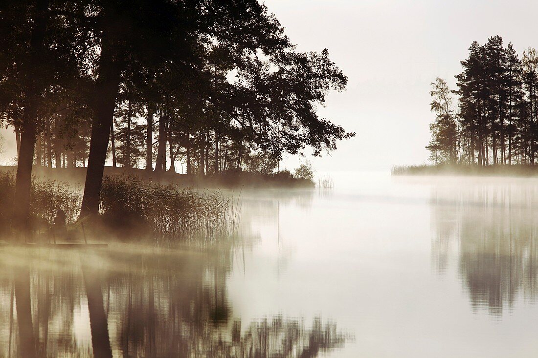 Daybreak at Lake Langsjon,Sweden