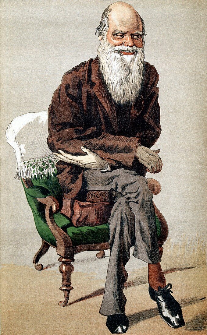Darwin caricature,Vanity Fair