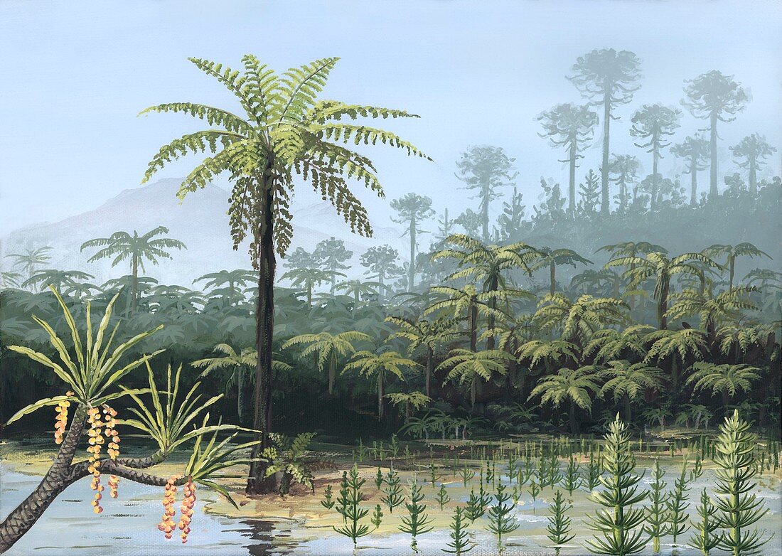 Prehistoric tree ferns,artwork
