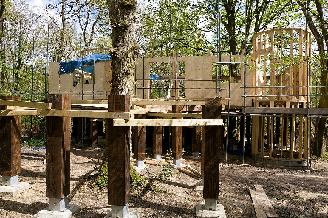 Treehouse Study Centre being constructed