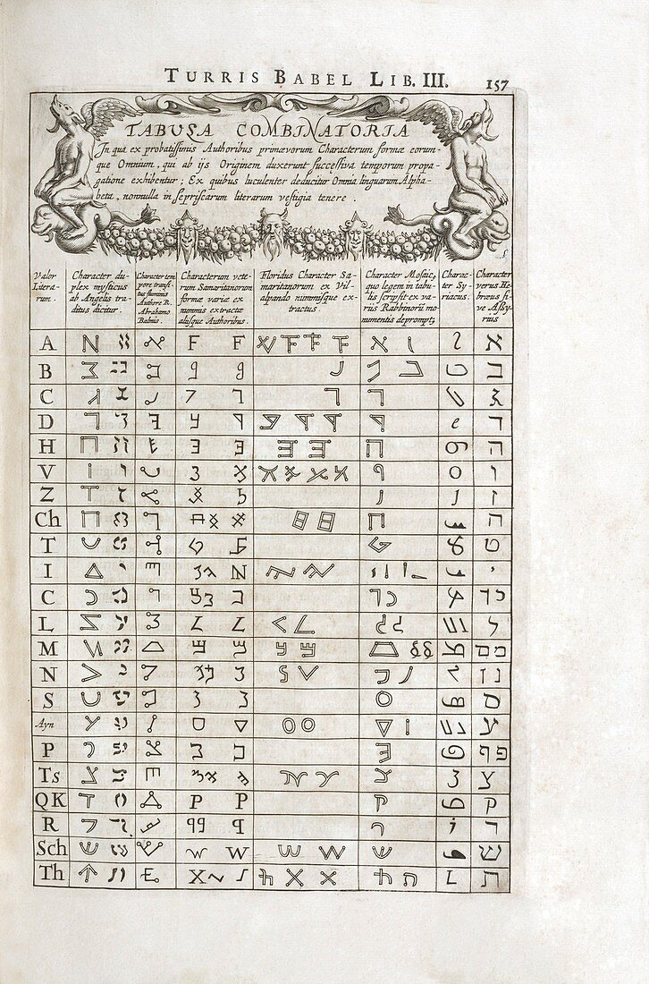 Linguistics table,17th century