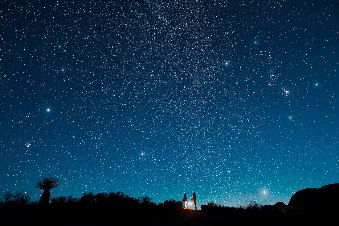 Starry sky and stargazers