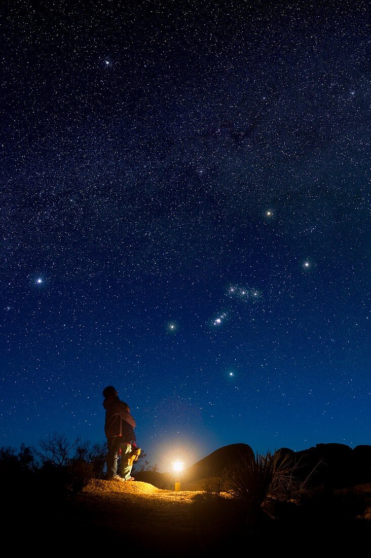 Starry sky and stargazers