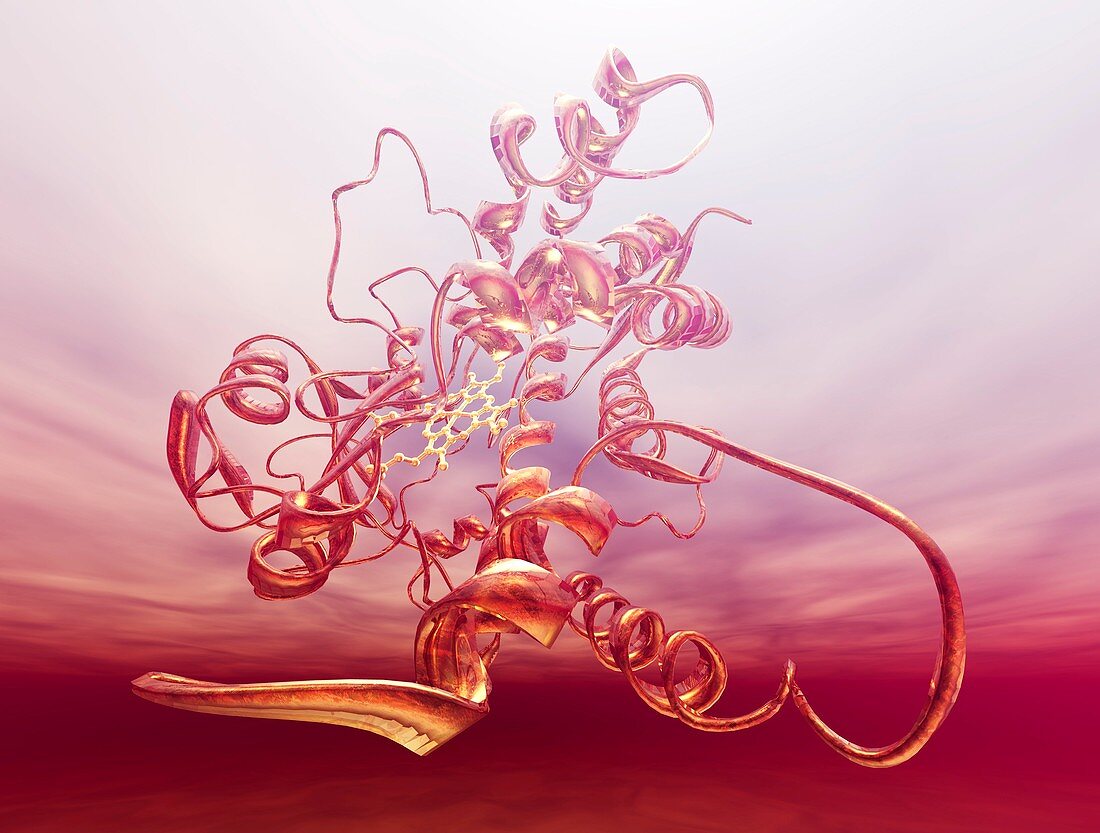 Cytochrome P450 molecule,artwork