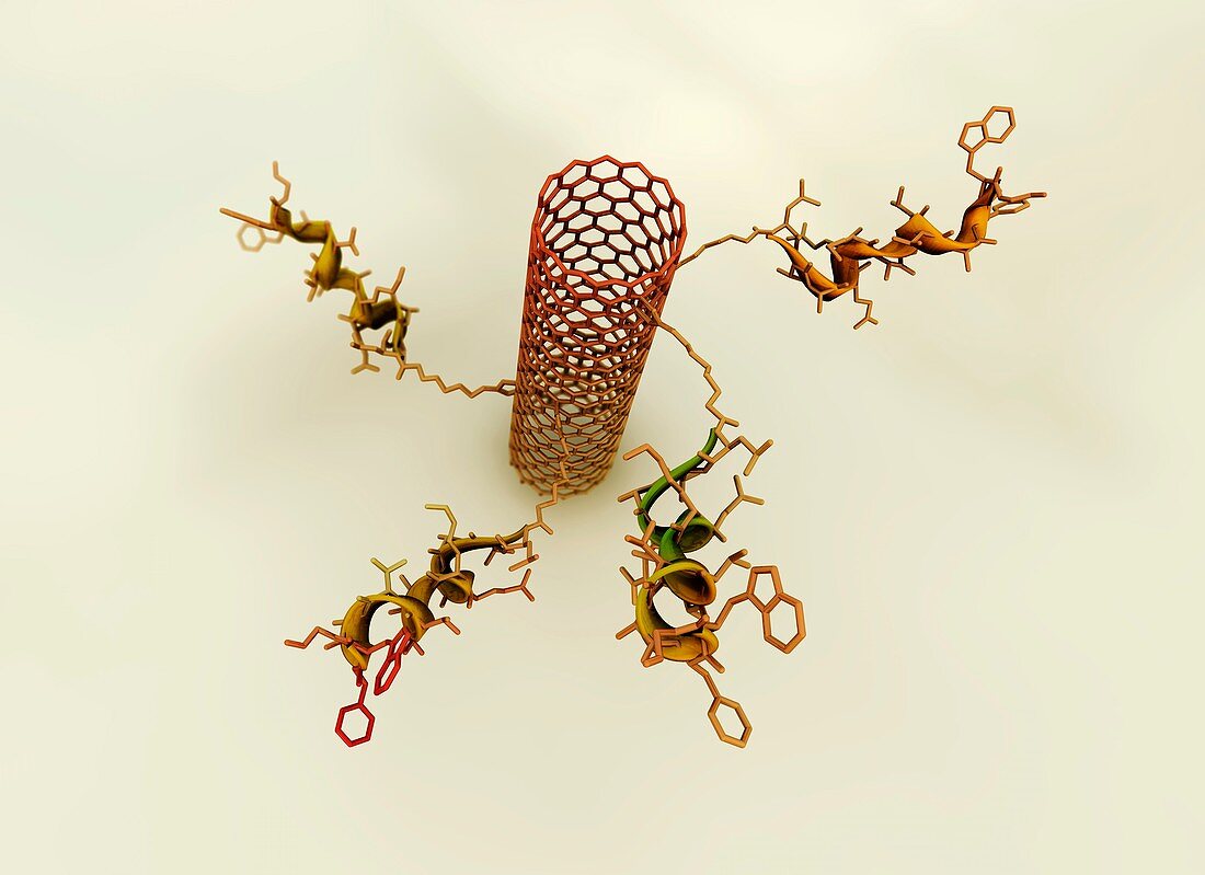 Functionalised nanotube,artwork