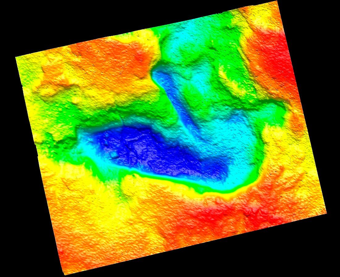 Homo erectus footprint,3D laser scan