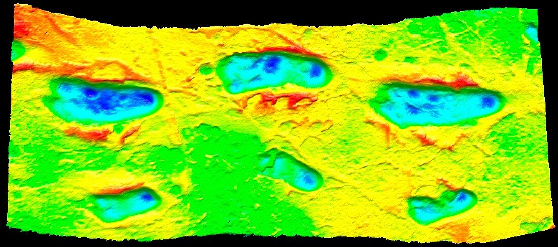 Hominid footprints,3D optical laser scan