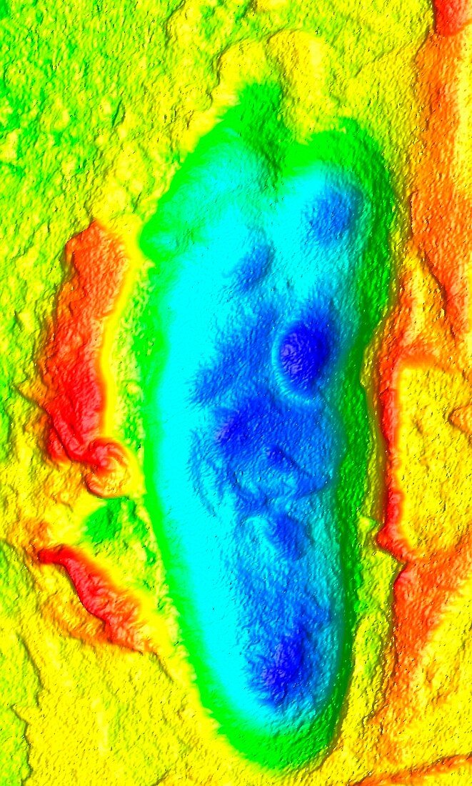 Hominid footprint,3D optical laser scan