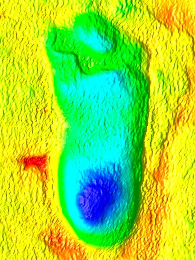 Hominid footprint,3D optical laser scan