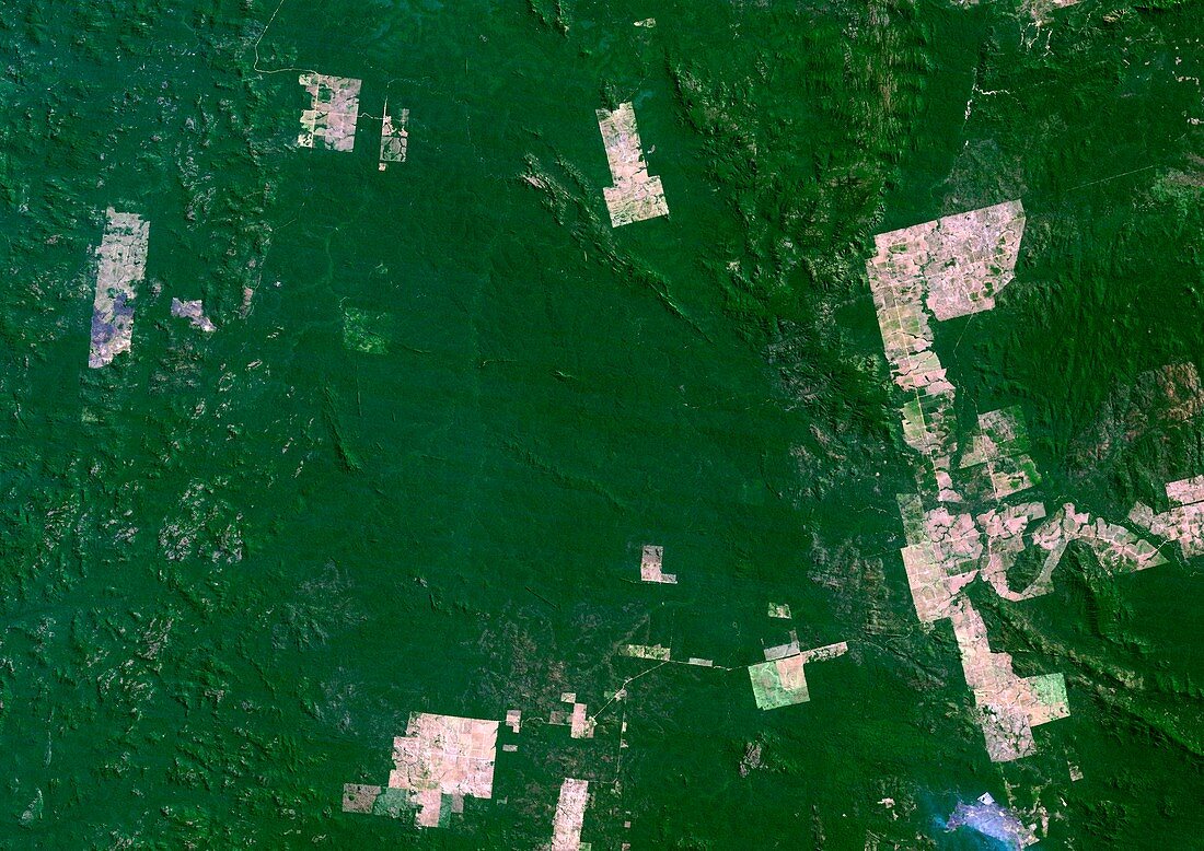 Deforestation in the Amazon,1992