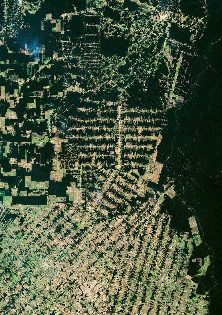 Deforestation in the Amazon,2001
