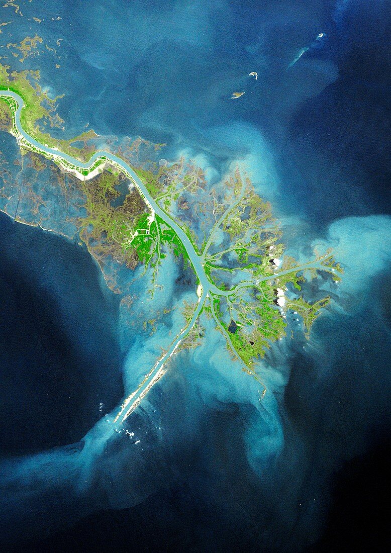 Mississippi Delta,satellite image
