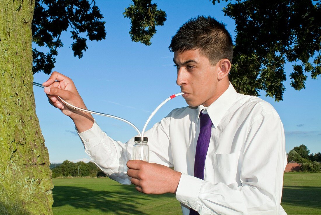 Student collecting insects