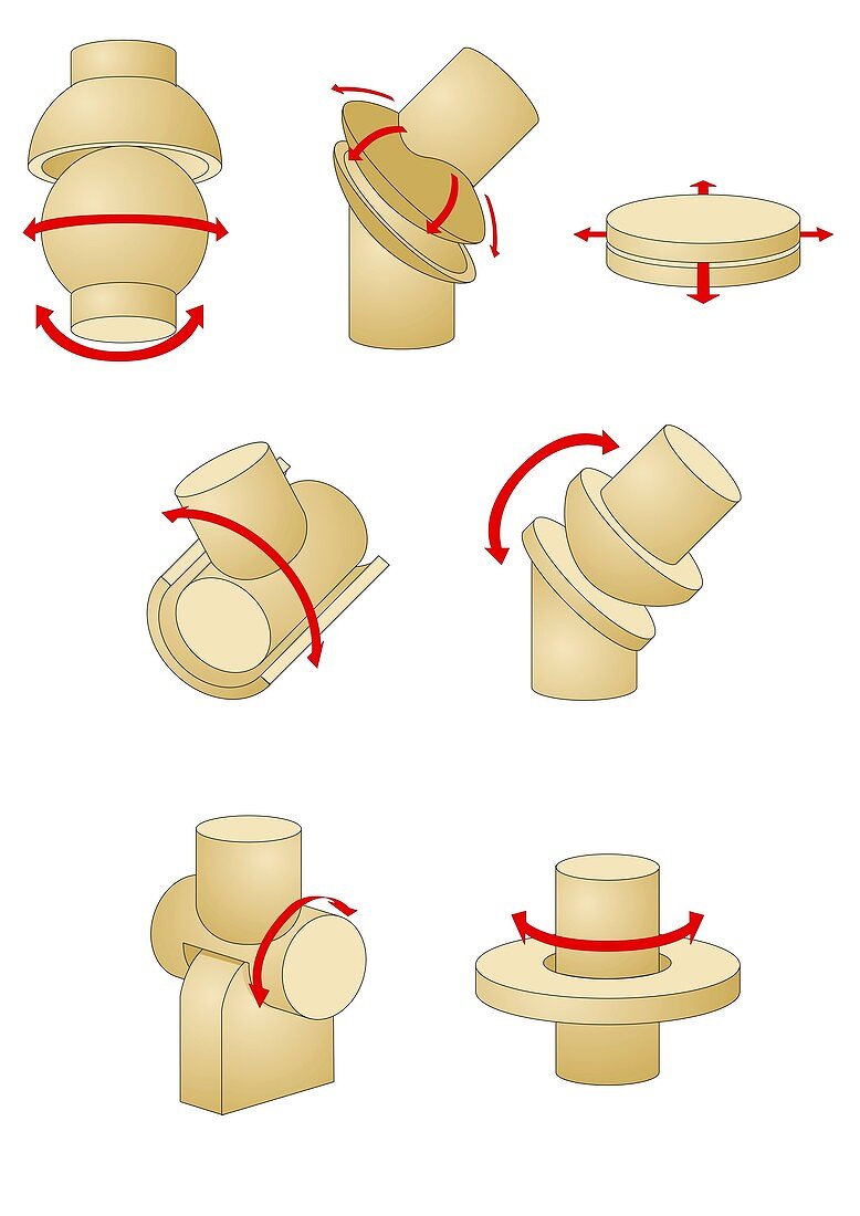 Types of joint,artwork