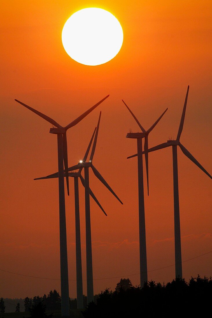 Wind turbines at sunset