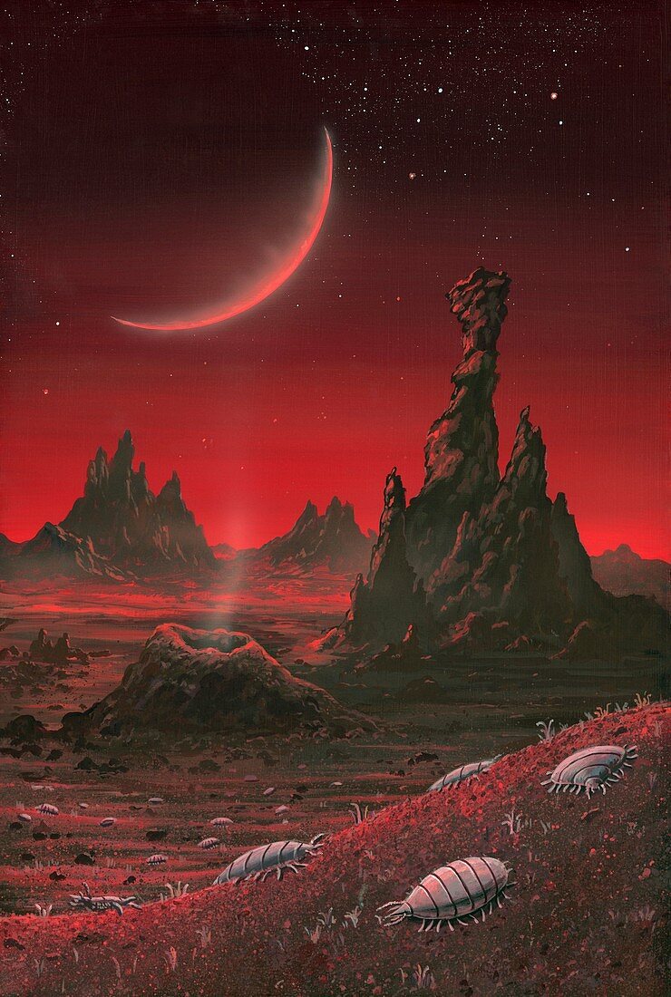 Alien planet,artwork