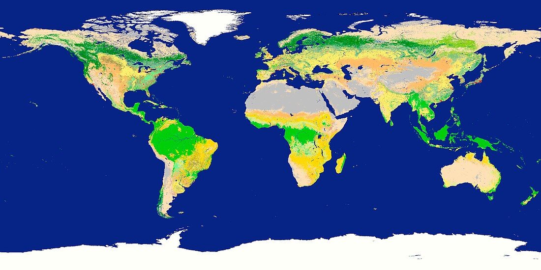 Earth's land cover classification,2003