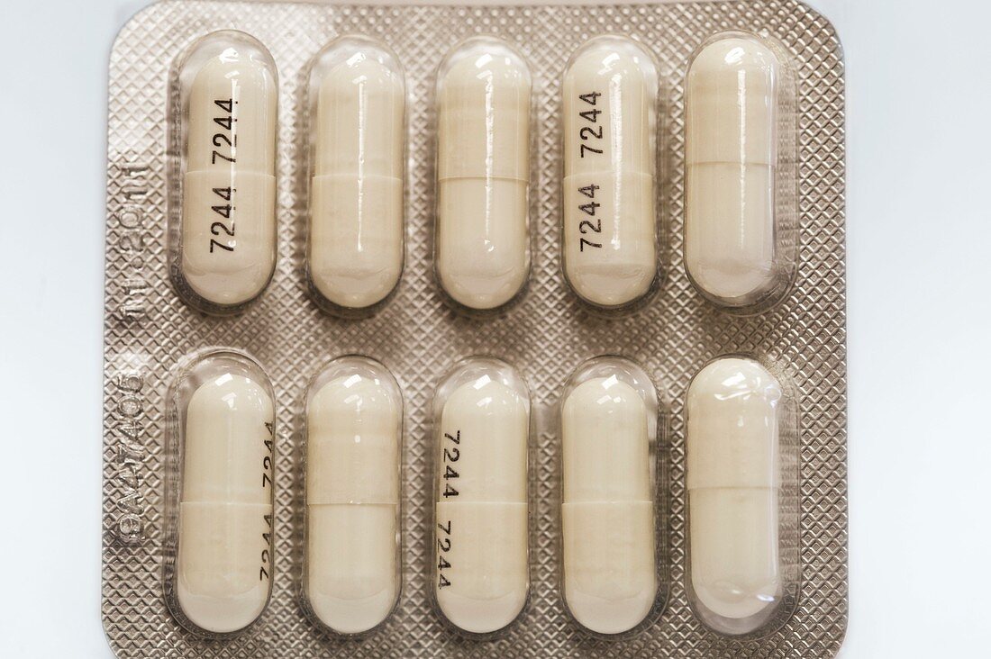 Cefadroxil antibiotic drug
