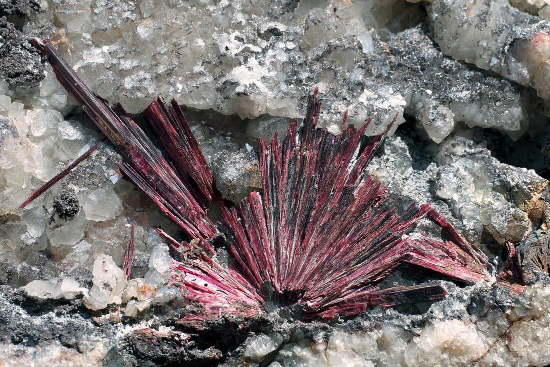 Erythrite crystals
